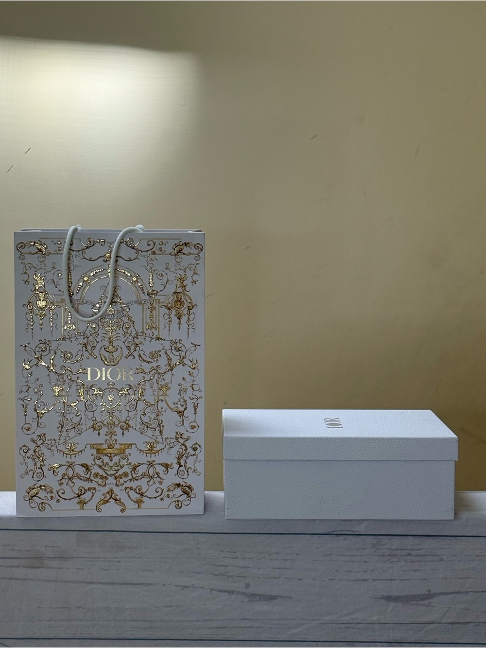 Dior White Empty Shoe Box and Shopping Bag - Picture 2 of 11